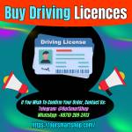 Buy  Driving Licences Profile Picture