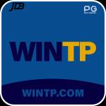 wintp wintp Profile Picture