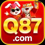 q87 q87 Profile Picture