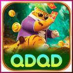 qdqd qdqd Profile Picture