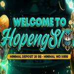 hopengslot hopengslot Profile Picture