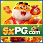 5xpg 5xpg Profile Picture