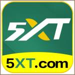 5xt 5xt Profile Picture