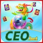 ceobet ceobet Profile Picture