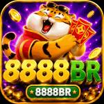 8888br 8888br profile picture