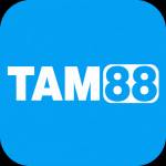 tam88 tam88 Profile Picture