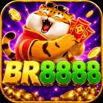 br8888 br8888 profile picture