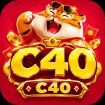 c40 c40 Profile Picture