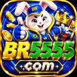 br5555 br5555 profile picture